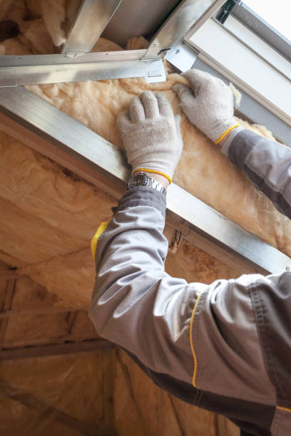 Best DIY Insulation Kits and Guidance in Muncy, PA