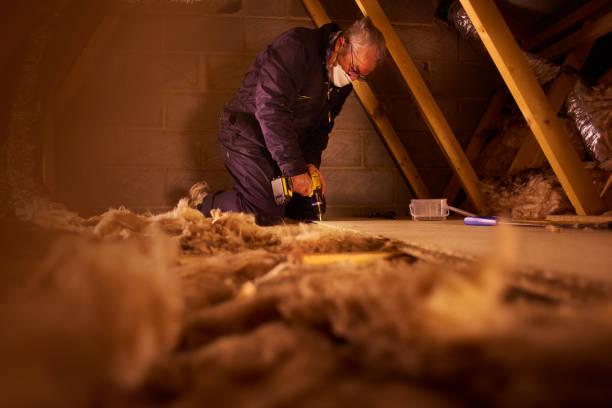 Best Insulation Maintenance and Repair in Muncy, PA